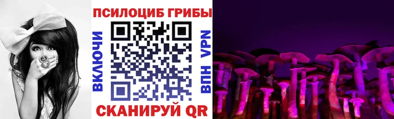 Галлюциногенные грибы Cubensis  хочу   Черноголовка 